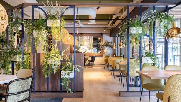 Ein modernes Restaurant mit Holzböden, grünen Pflanzen und gelben Stühlen.