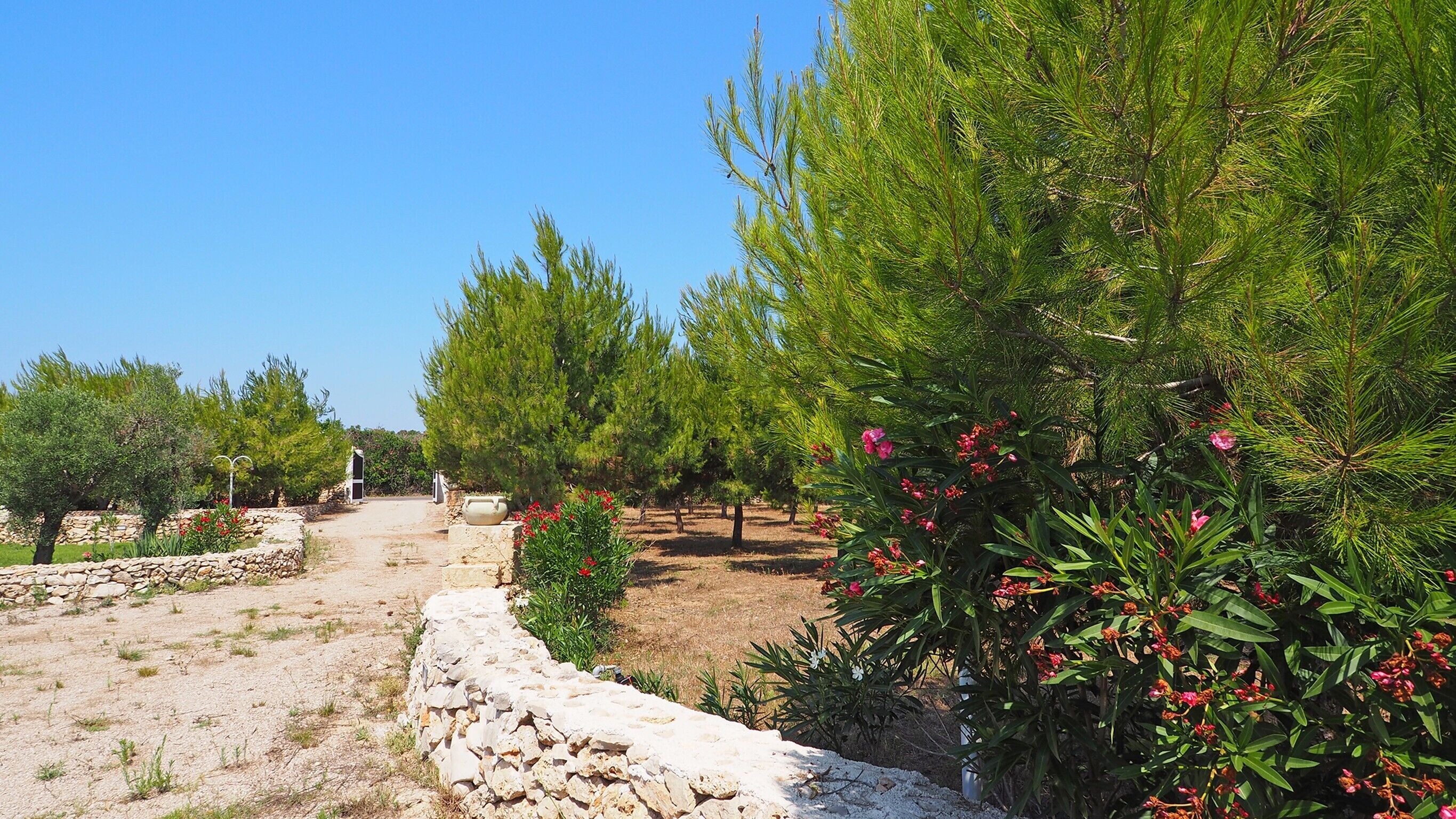 Parco della struttura