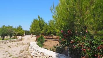 Parco della struttura