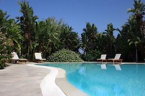 Billede uden beskrivelse, 2 af 26, knap