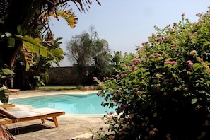 Billede uden beskrivelse, 5 af 26, knap