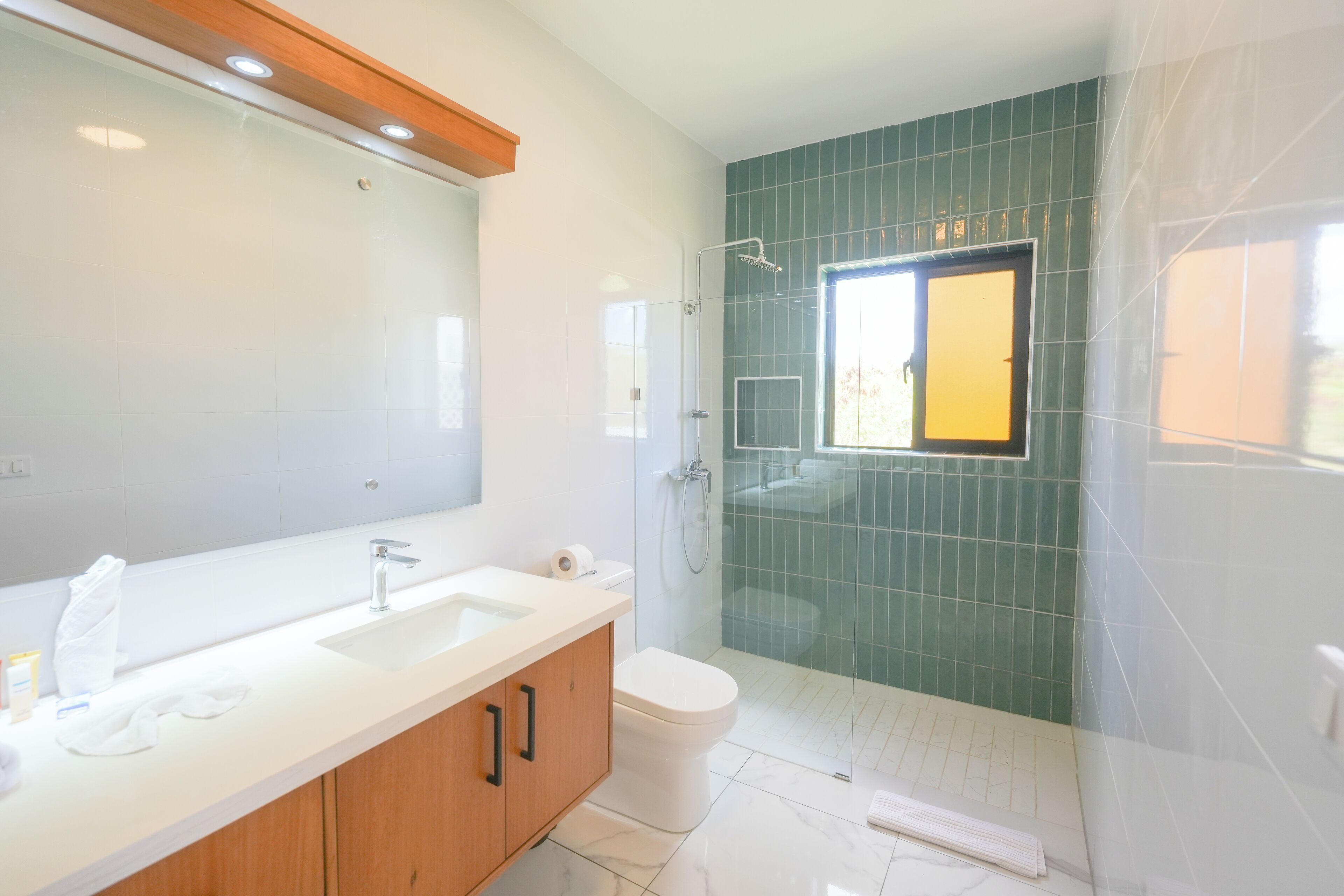 A modern bathroom with a dual sink vanity, a glass shower enclosure, and a toilet.