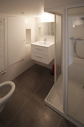 Une salle de bain moderne équipée d’une douche, de toilettes et d’un lavabo.
