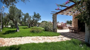 Immagine non classificata, 4 di 12, pulsante