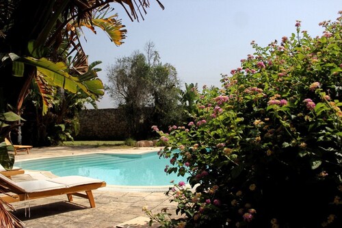 Room 'Villa Sterlizia - Fico D'India' with Shared Pool, Wi-Fi and Air Conditioning