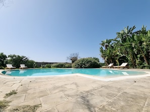 Una piscina con sillas de descanso, rodeada de follaje y un patio de piedra.