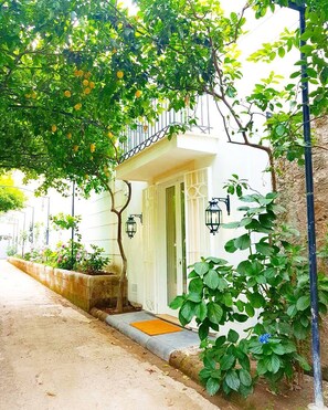 Imagem sem classificação, 4 de 51, botão