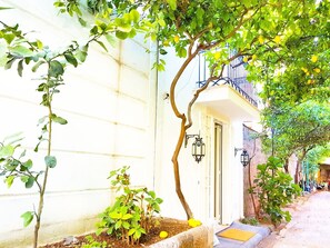 Imagem sem classificação, 5 de 51, botão