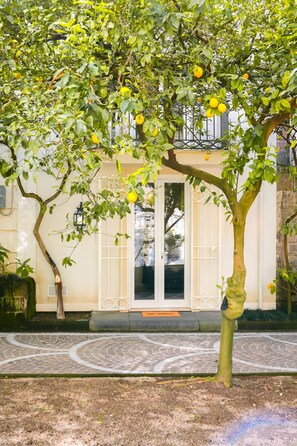Exterior detail - Dépendance la Casetta: an oasis of peace surrounded by greenery in the city center (Castellammare di Stabia)