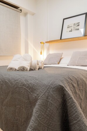 2 bedrooms, in-room safe, iron/ironing board, free WiFi - RECOLETA near the Centre, Obelisc and Puerto Madero (Buenos Aires)