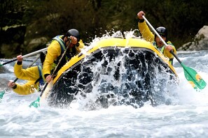 Uklassifisert bilde, 4 av 18, knapp