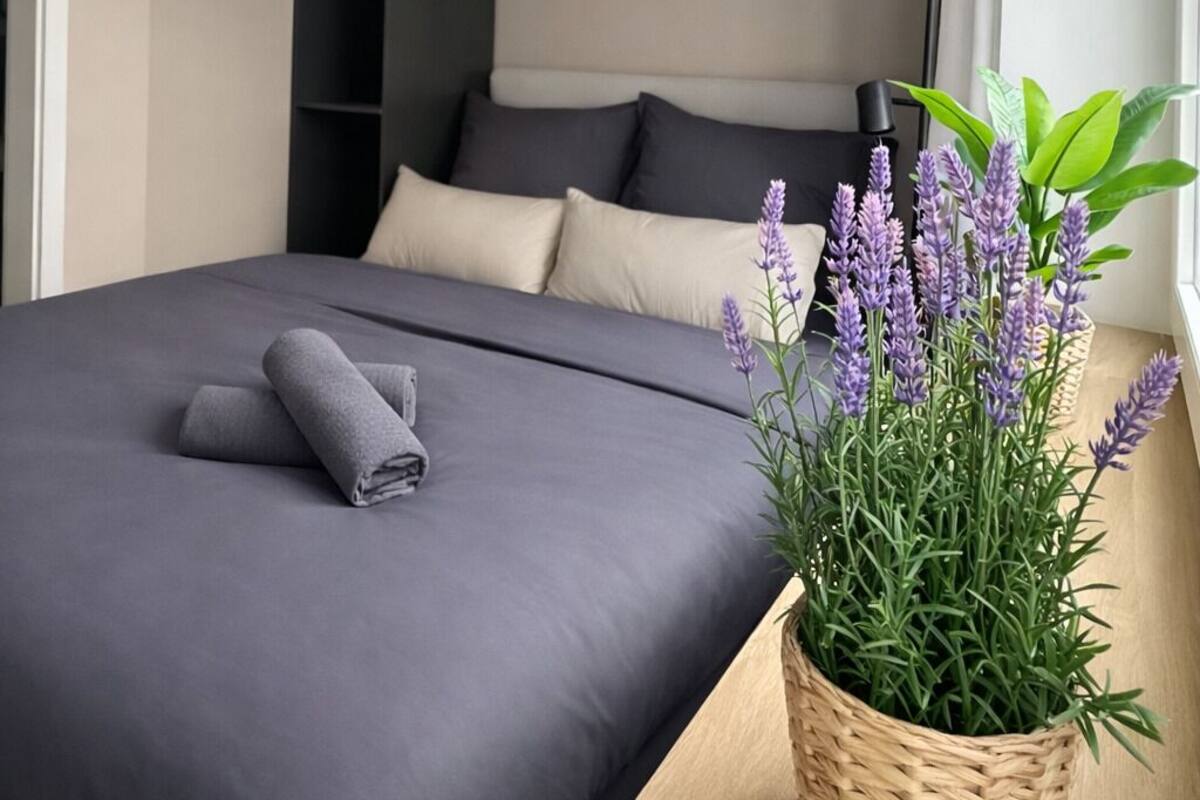 A neatly made bed with a grey blanket, a small woven plant basket with green foliage, and a black wall-mounted light fixture.