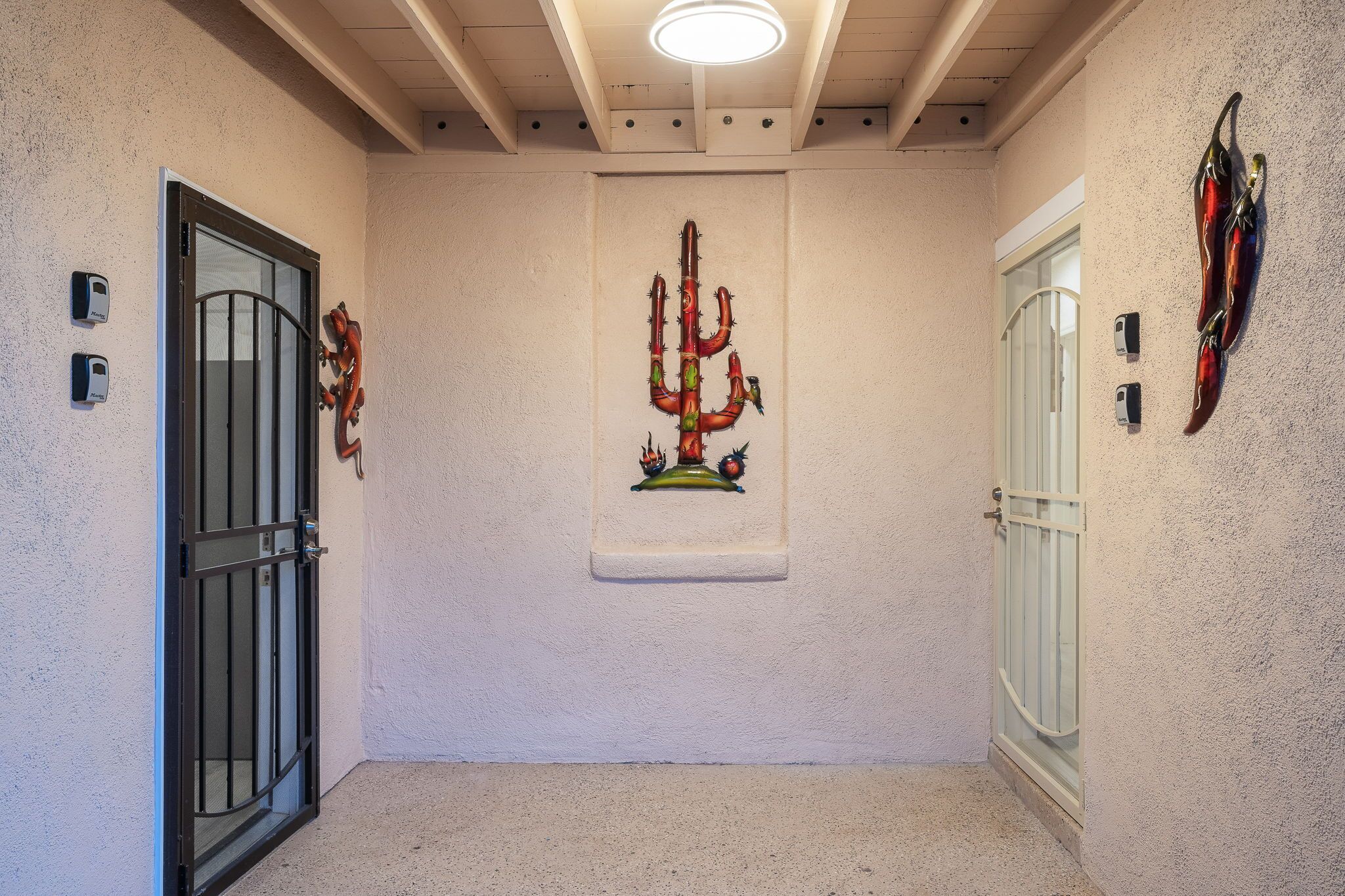 A hallway with a cactus artwork, a door with a metal gate, and a wall-mounted light fixture.