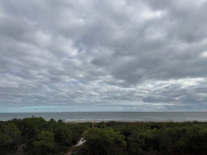 A coastal landscape with dense greenery and a beach in the distance under a cloudy sky. - New Construction, Beach Views, Private Pool, Pet-Friendly, SGI Plantation (St. George Island)