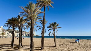Une plage de sable fin, bordée de palmiers, sous un ciel bleu et dégagé.