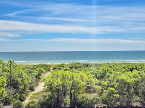 Beach nearby - New Construction, Beach Views, Private Pool, Pet-Friendly, SGI Plantation (St. George Island)