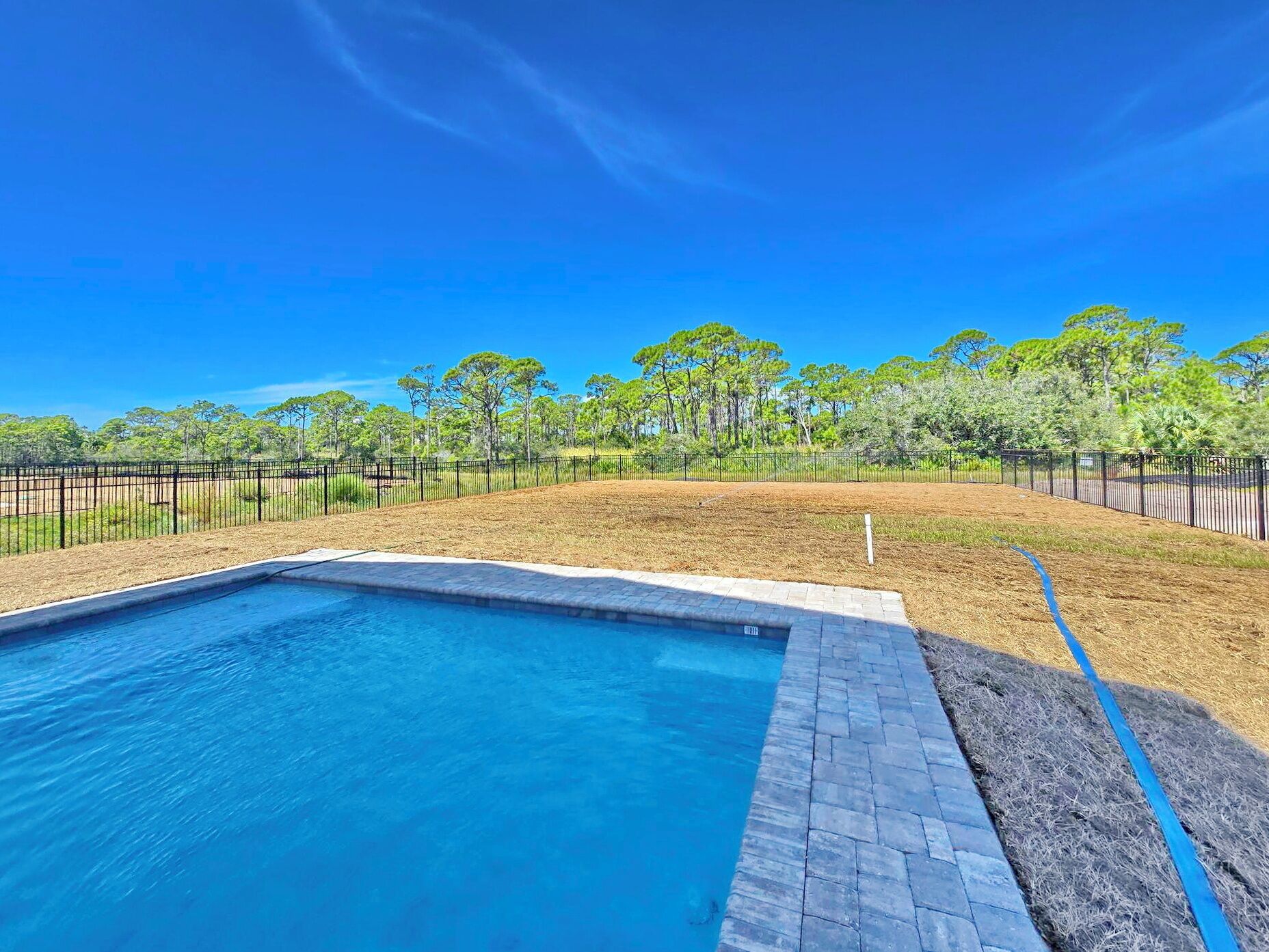 Una piscina con borde de ladrillo, rodeada por un patio cercado y árboles.
