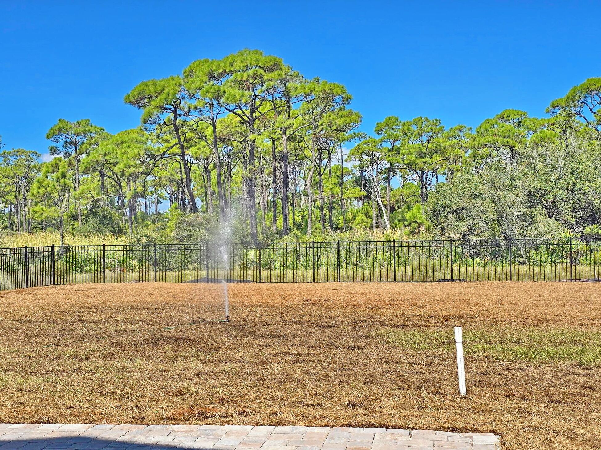 A park with a fountain, surrounded by a fence and trees.