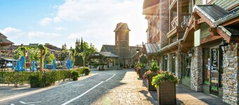 Ground Floor Ski In/Out to Silver Bullet Express