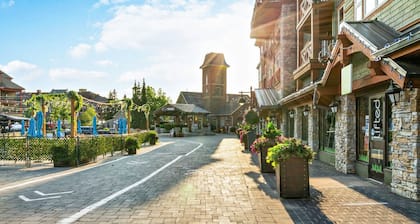 Ground Floor Ski In/Out to Silver Bullet Express