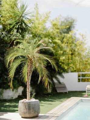 Imagen sin descripción, 4 de 19, botón