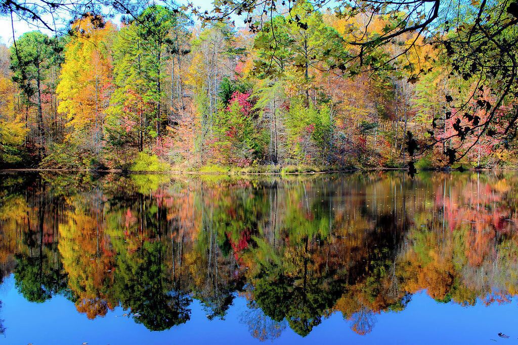 A calm lake reflecting colorful autumn trees.