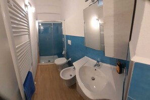 Shower, hair dryer, bidet, towels