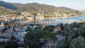 Unclassified image, 5 of 13, button - Cozy apartment with large terrace overlooking the sea (Rapallo)