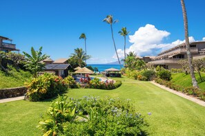 Property grounds - Oceanview Oasis at Kahana Sunset – Beachfront (Lahaina)
