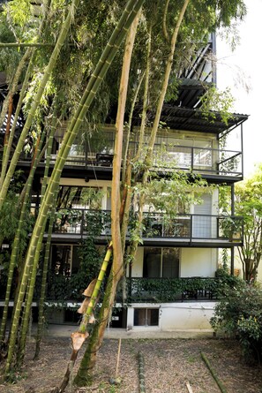 Garden - Carriqui Underground  (Pereira)