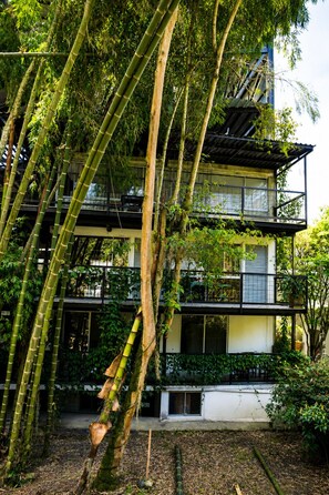 A multi-story building with a modern design, surrounded by lush bamboo trees. - Carriqui Underground  (Pereira)