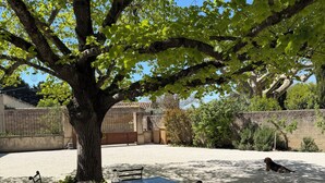 A table set outdoors under a tree with chairs, a basket, and a pitcher. - Provencal house with heated pool between Luberon & Alpilles - absolute calm (Cheval-Blanc)