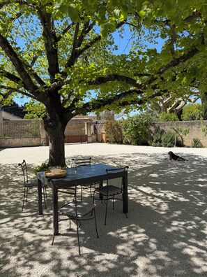 A table set outdoors under a tree with chairs, a basket, and a pitcher. - Provencal house with heated pool between Luberon & Alpilles - absolute calm (Cheval-Blanc)