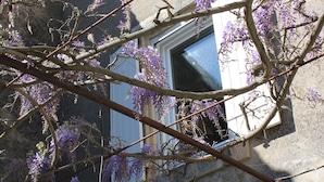 A building with a window, a tree with purple flowers, and a clear blue sky. - Provencal house with heated pool between Luberon & Alpilles - absolute calm (Cheval-Blanc)