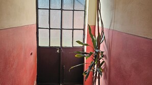 Un couloir avec un pot de fleurs, une porte dotée d’une fenêtre et un revêtement de sol carrelé.