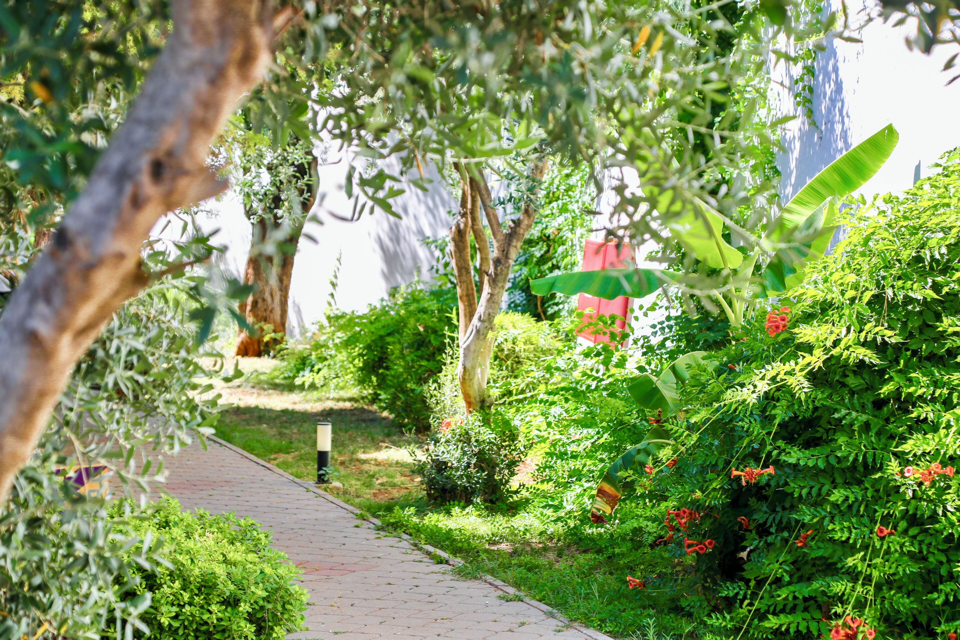 Meja, ruang kerja komputer riba, Wi-fi percuma 