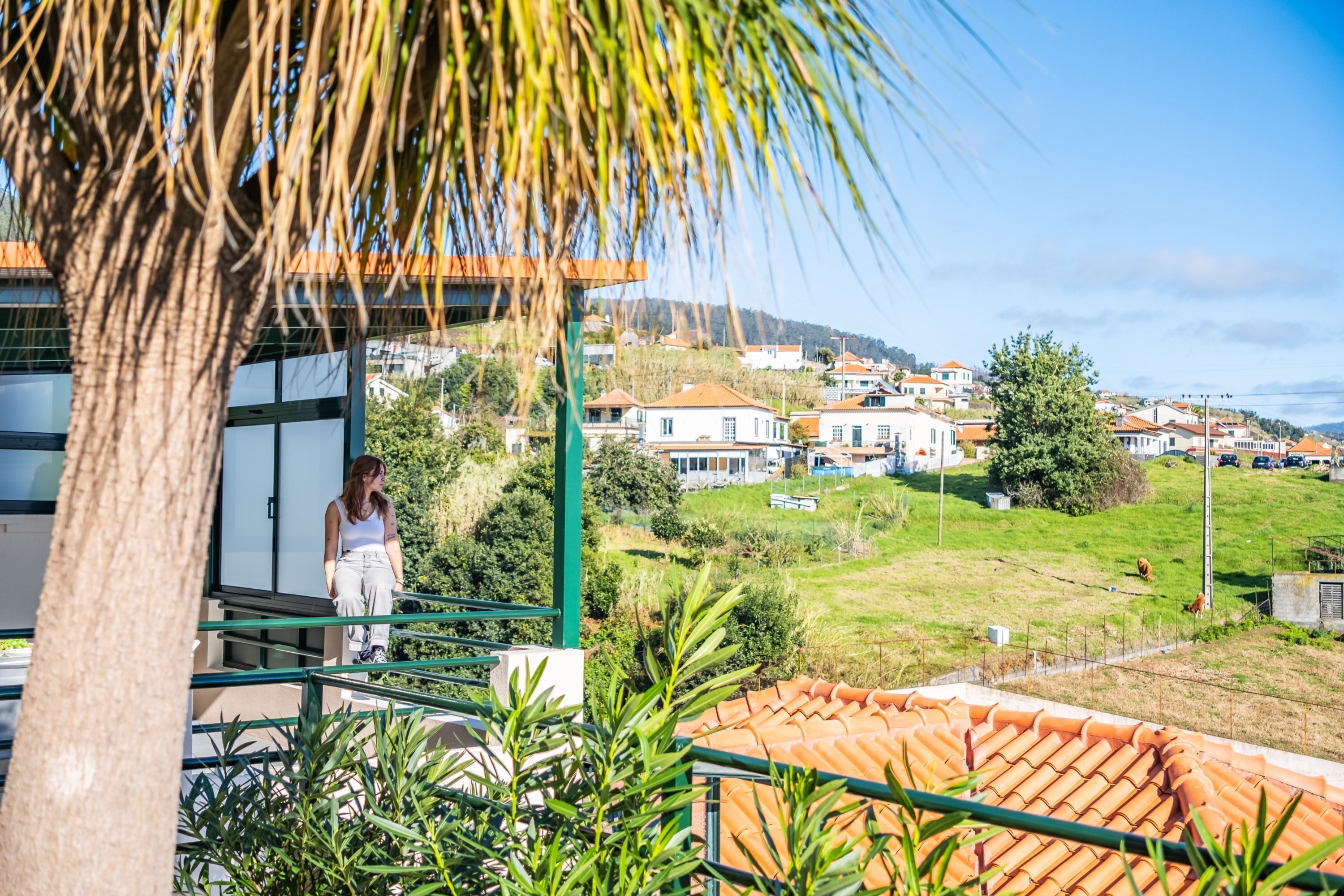 A balcony with a view of a residential area, including houses and greenery.