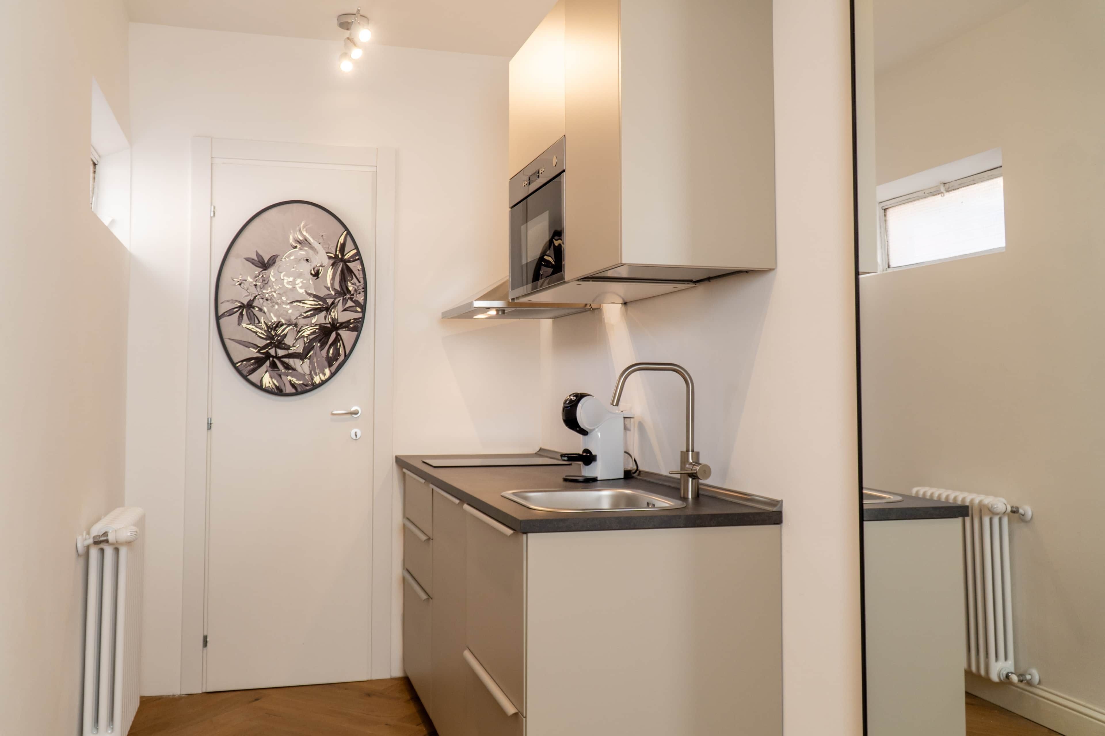 Kühlschrank, Mikrowelle, Herdplatte, Kochgeschirr/Geschirr/Besteck