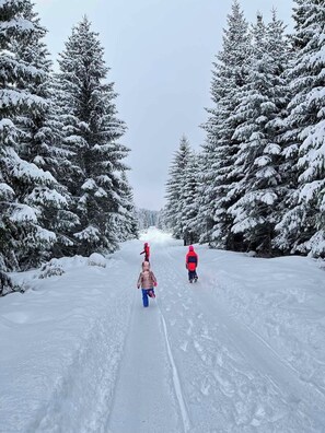 Snow and ski sports
