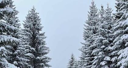 Cozy Mountain Chalet with Durmitor View 3