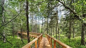 A wooden boardwalk through a dense forest. - Adullam Nature Escape - 10 acres in Colbert WA (Colbert)