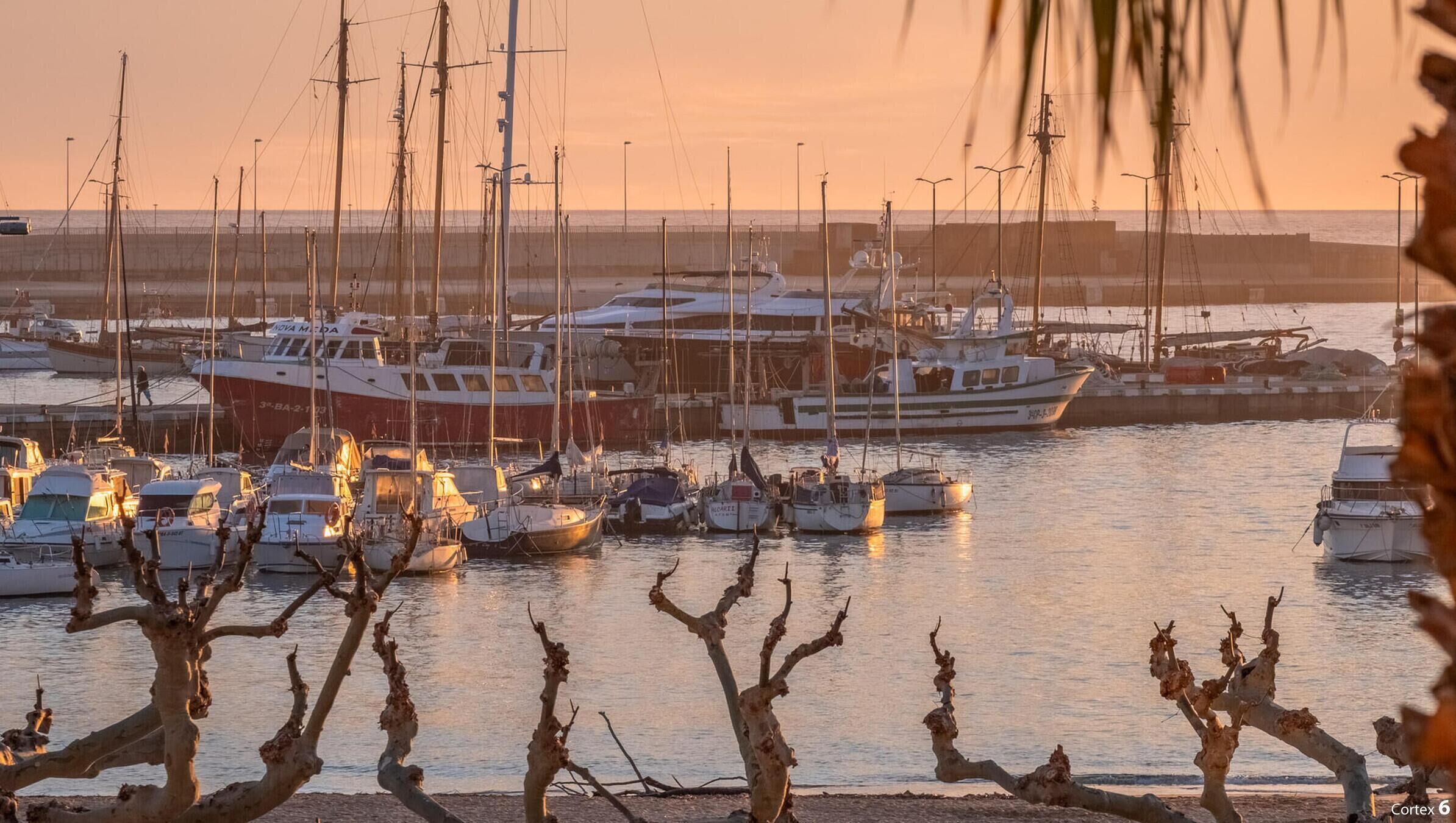 Un port de plaisance où sont amarrés de nombreux bateaux, entouré d’une promenade en bord de mer, avec des arbres sans feuilles au premier plan.