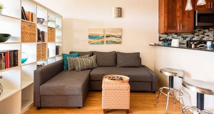 East Downtown - Little East Austin Gem