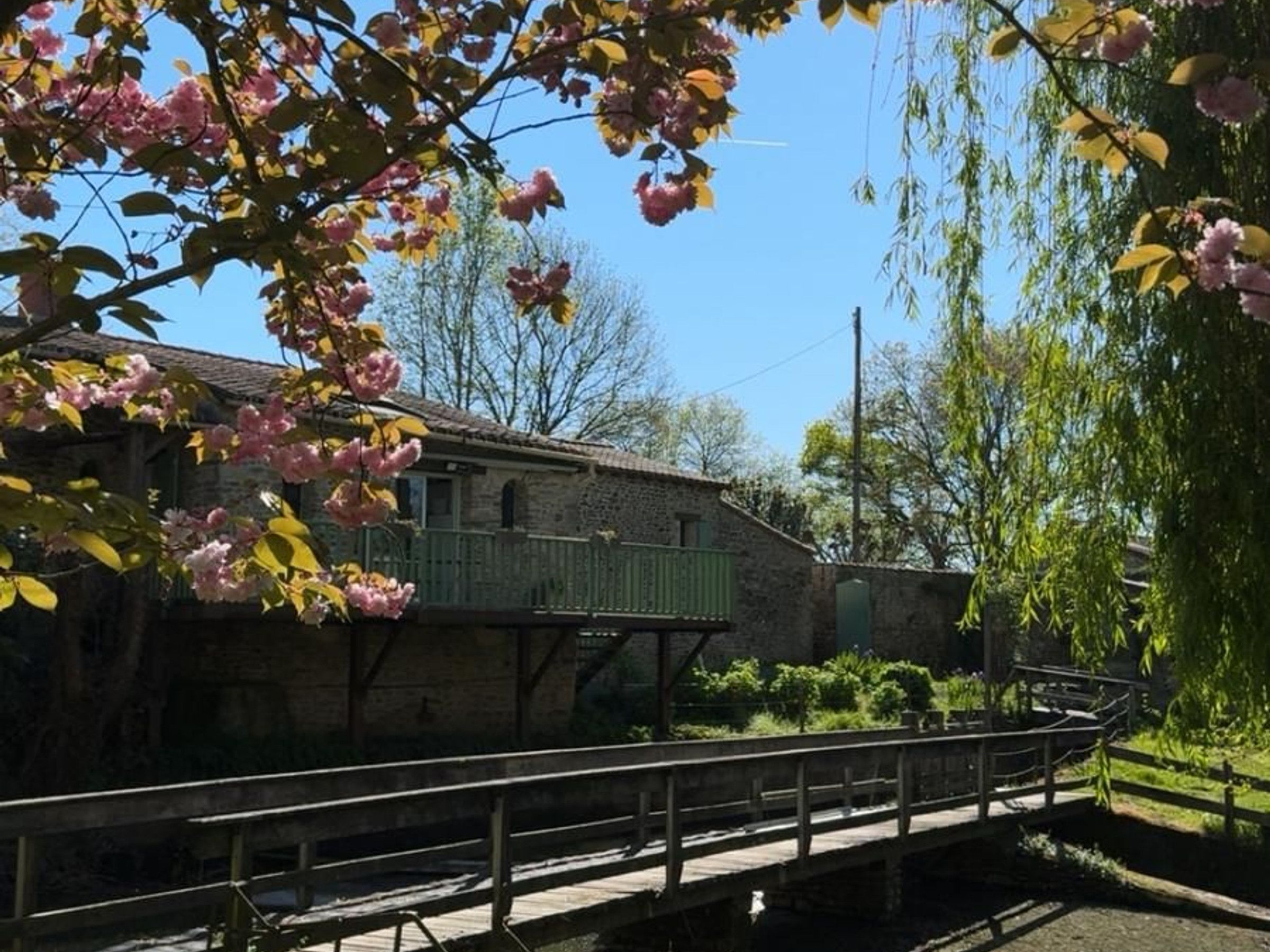 A stone building with a balcony, a bridge, and a weeping willow tree.