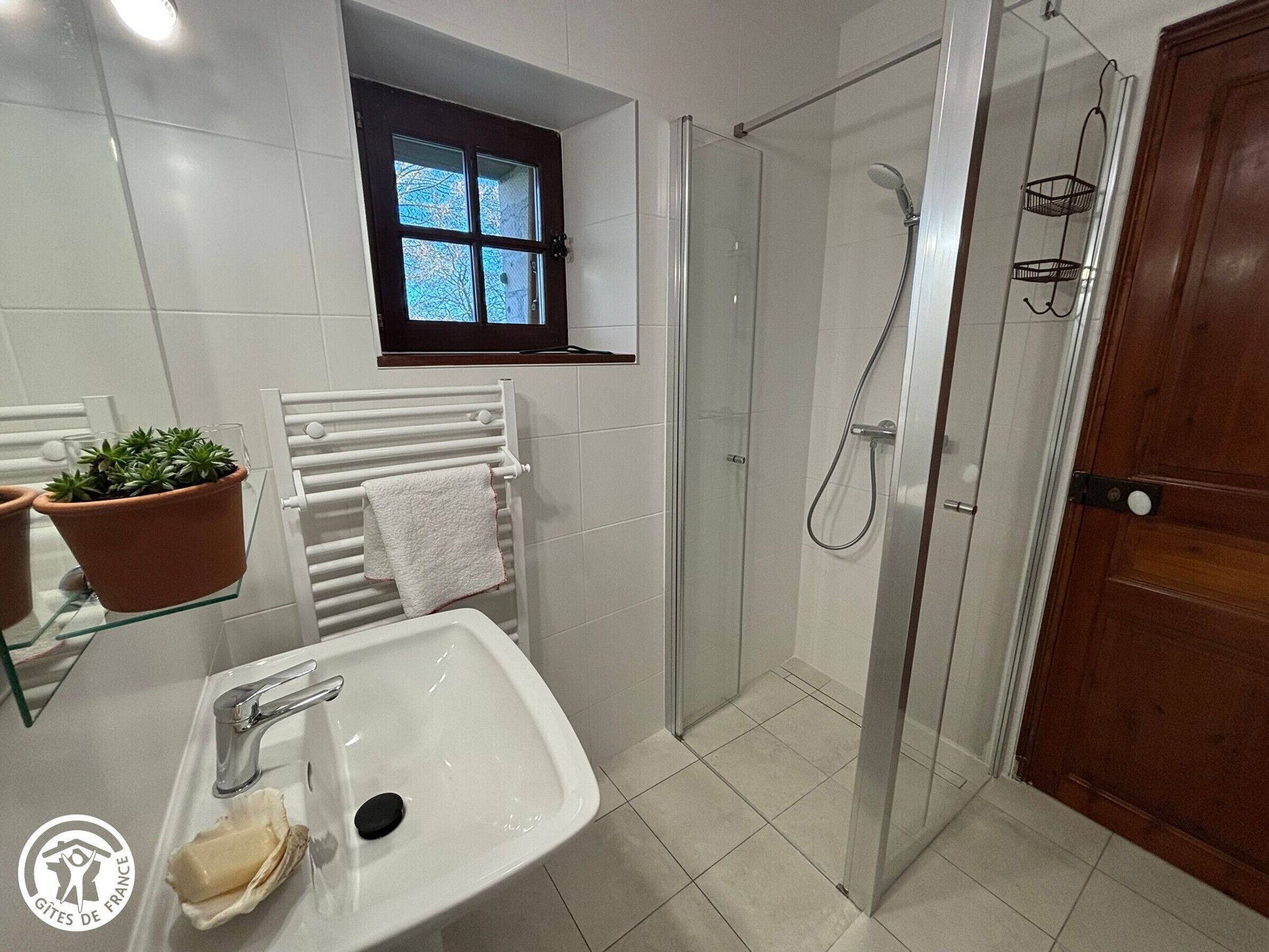 Un baño con lavabo, cabina de ducha de vidrio, planta en maceta y perchero.