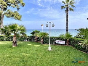 Zona amb gespa ben cuidada, palmeres i un senyal que indica que no es pot aparcar, menjar ni portar bicicletes.