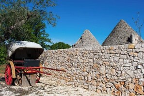 Property grounds - Uncle's farmhouse, private pool (castellana grotte)