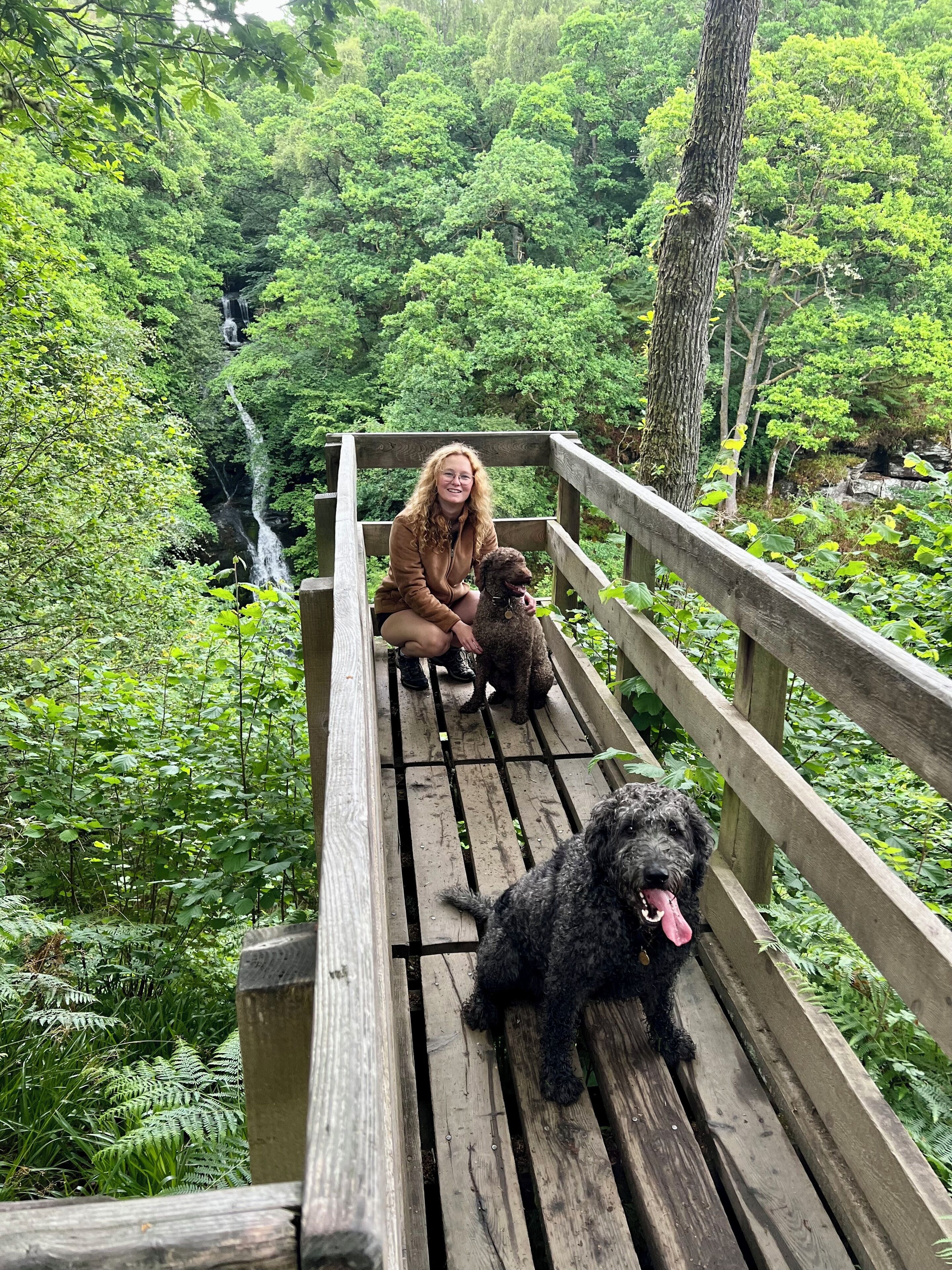 Áreas de la propiedad