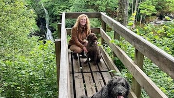 Área da propriedade