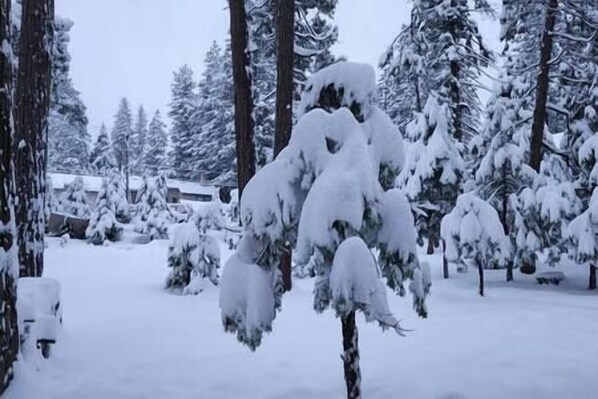 Nicht klassifiziertes Bild, 1 von 7, Schaltfläche